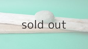 画像9: 板流木セット