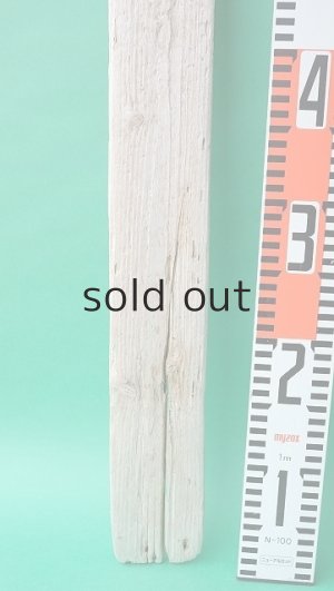 画像7: 板流木セット