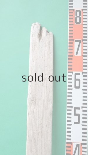 画像8: 板流木セット