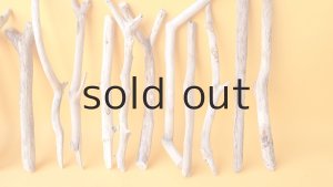 画像4: 小枝流木セット