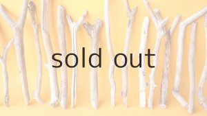 画像3: 小枝流木セット