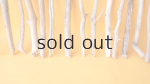 画像5: 小枝流木セット