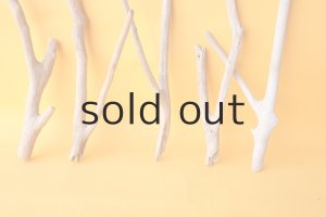 画像5: 小枝流木セット