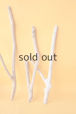 画像4: 小枝流木セット