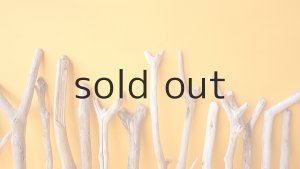 画像6: 小枝流木セット