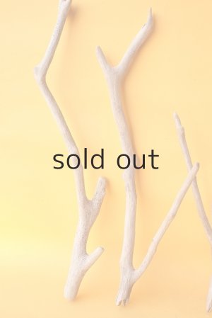 画像2: 小枝流木セット