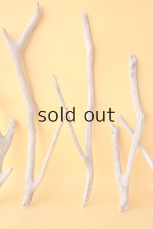 画像3: 小枝流木セット