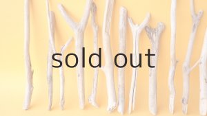 画像2: 小枝流木セット