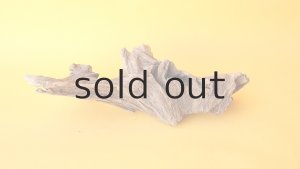 画像5: 変形流木