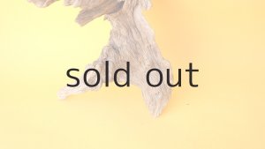 画像2: 変形流木