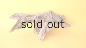 画像6: 変形流木