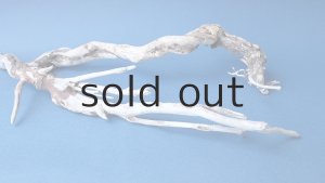 画像6: 流木根セット