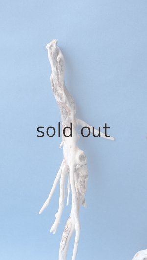 画像3: 流木根セット