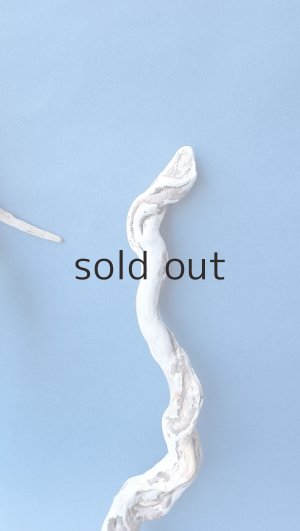 画像5: 流木根セット