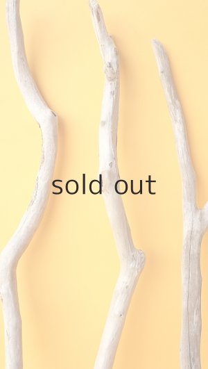 画像5: 小枝流木セット