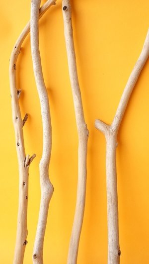 画像5: 小枝流木セット