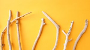 画像4: 小枝流木セット