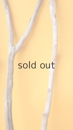 画像6: 小枝流木セット