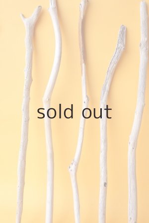 画像4: 小枝流木セット