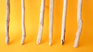 画像2: 小枝流木セット