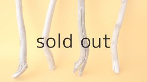 画像2: 小枝流木セット