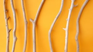 画像3: 小枝流木セット