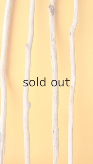 画像6: 小枝流木セット