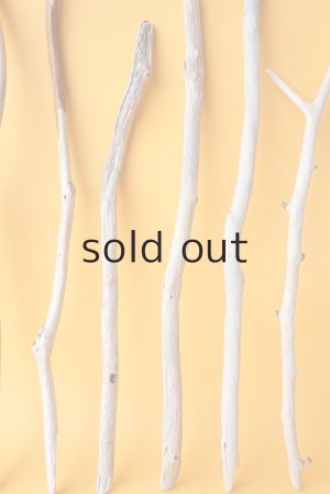 画像5: 小枝流木セット