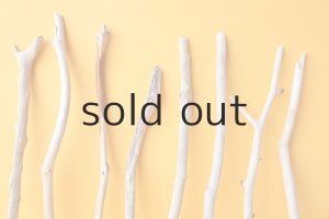 画像3: 小枝流木セット