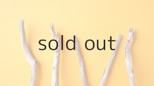 画像4: 小枝流木セット