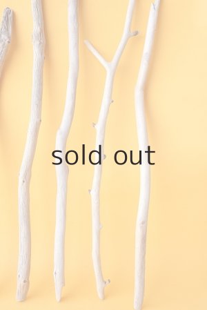 画像6: 小枝流木セット