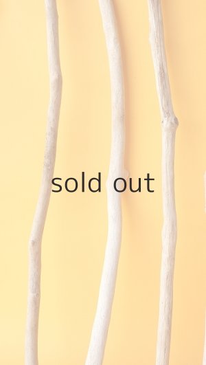 画像5: 小枝流木セット