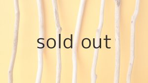 画像3: 小枝流木セット