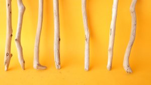 画像2: 小枝流木セット