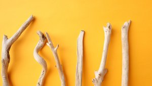 画像4: 小枝流木セット