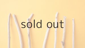 画像4: 小枝流木セット