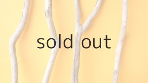 画像3: 小枝流木セット