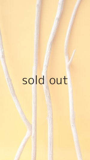 画像6: 小枝流木セット