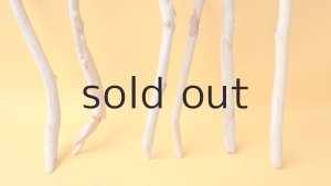 画像2: 小枝流木セット