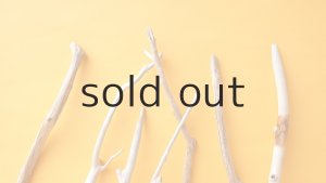 画像4: 小枝流木セット