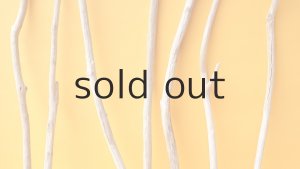 画像3: 小枝流木セット