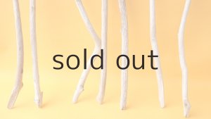 画像2: 小枝流木セット