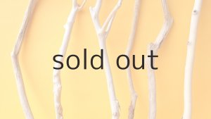 画像3: 小枝流木セット