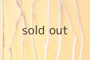 画像3: 小枝流木セット