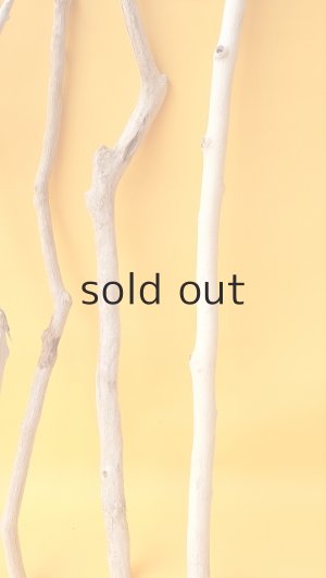 画像7: 小枝流木セット