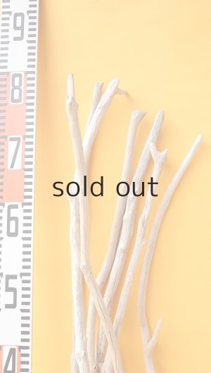 画像8: 小枝流木セット