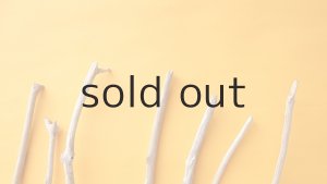 画像4: 小枝流木セット