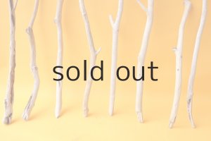 画像2: 小枝流木セット