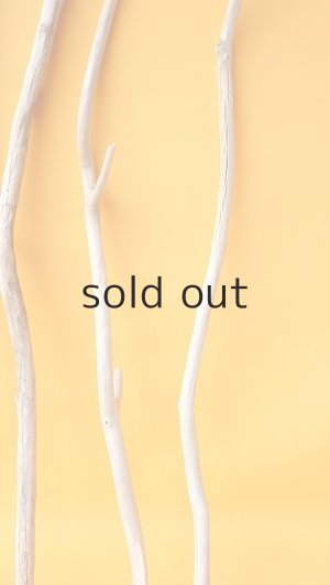 画像7: 小枝流木セット