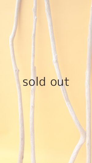 画像5: 小枝流木セット